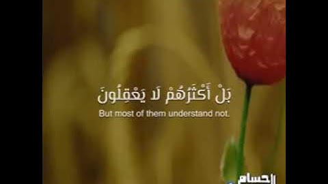 الله يبسط الرزق لمن يشاء -/للقارئ عبدالرحمن مسعود تلاوه جميله و هادئة ❤️🍂