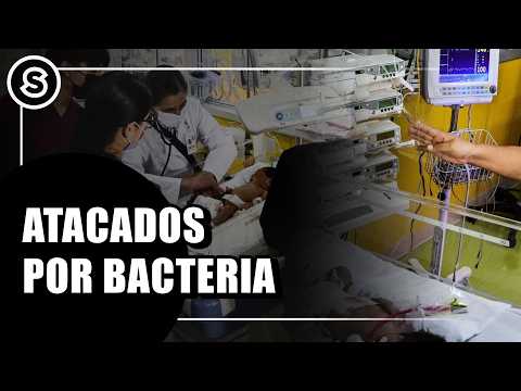 IMSS investigates death of 5 newborns in Durango | REPORT