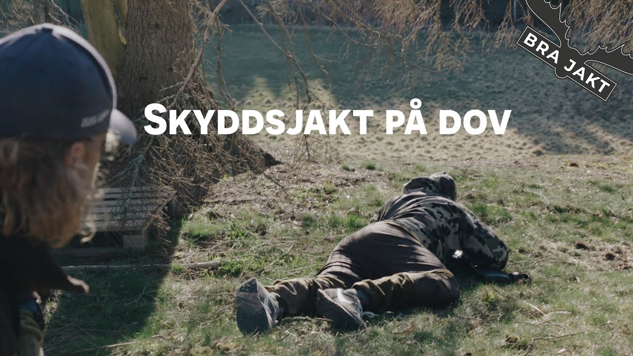 Skyddsjakt på dov | BRA JAKT