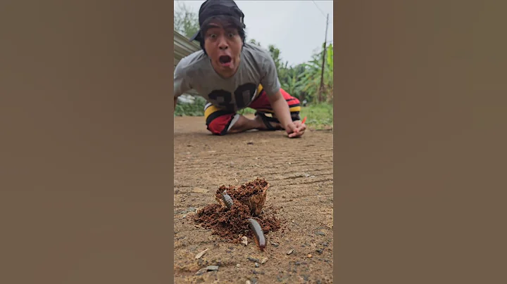 delicious lollipop, There was a millipede and I ran #shorts #shortvideo #viral