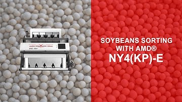 Soybeans Sorting With AMD® NY4(KP)-E