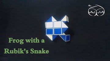 How To Make Frog With Rubik