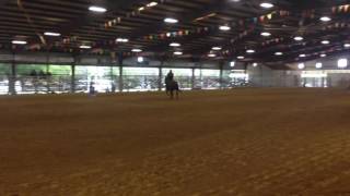 Trim C5C85A5D Ae18 48De 84Bc 1940E3A6C6Db