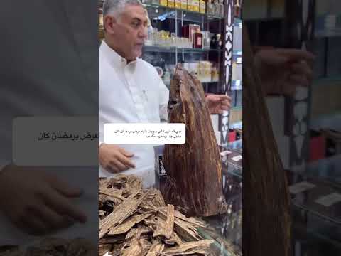 25 يونيو 2025