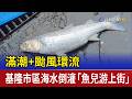 滿潮+颱風環流 基隆市區海水倒灌「魚兒游上街」