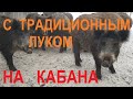 Охота с традиционным луком на кабана. Поймать и сожрать!