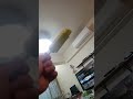 今天我要來吃冰棒