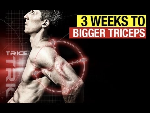 Bigger Triceps In Three Weeks - The Twisted Triceps Workout