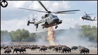 Incredible ! How Texas Farmers Spend Millions To Deal With Millions Of Wild Boar By Plane