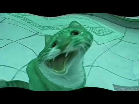 Center Effects Center Effects