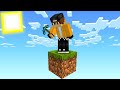 SOBREVIVI EM APENAS UM BLOCO NO MINECRAFT 