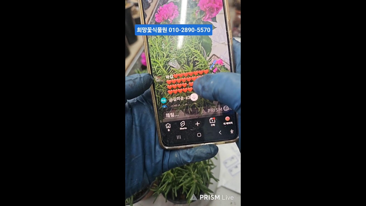 ❤라이브❤봄이오는 소리