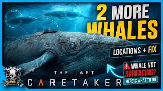 All Known Whale Locations in The Last Caretaker
