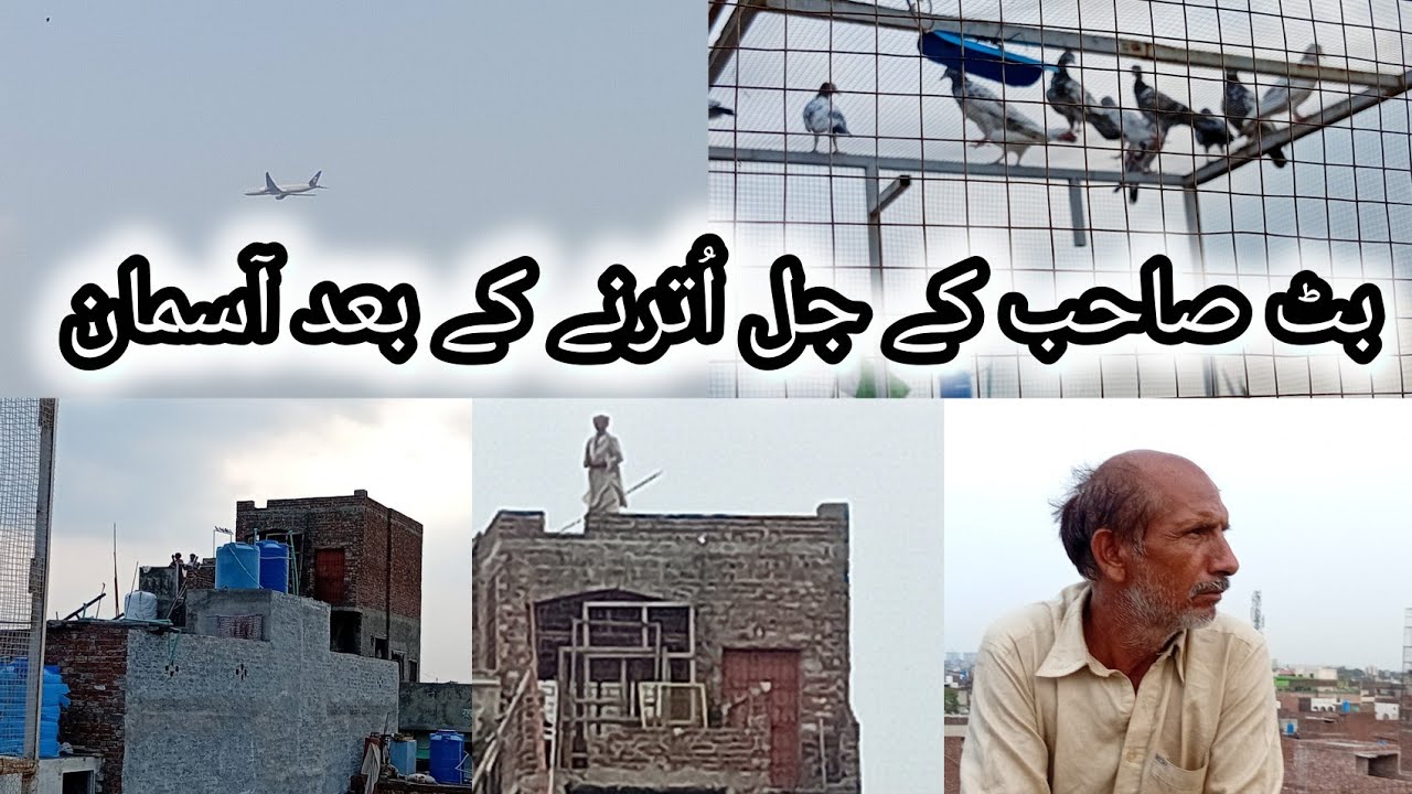 بٹ صاحب کا جل اُترنے کے بعد کا ویو | کبوتر بازی کرنے کا اب مزہ آئے گا | جل خاتم ہونے چاہیے | #viral