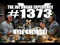 Joe Rogan Experience #1373 - Kyle Kulinski