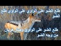 طلع الض و عالواوي أغاني اطفال