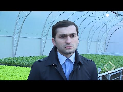 რეგიონში ენერგეტიკული პროექტები შეუფერხებლად უნდა ხორციელდებოდეს - თორნიკე რიჟვაძე