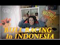 🇮🇩 I Tried BULL RACING In Sumatra, Indonesia !Pall Family Reaction! #thelostboys