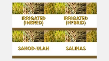 DEVC 263 VIDEO PRESENTATION