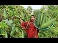 Village Food !! গ্রামের এই সব্জীর রেসিপি আপনি আগে কখনো দেখেননি || Never Seen Before This Vegetable