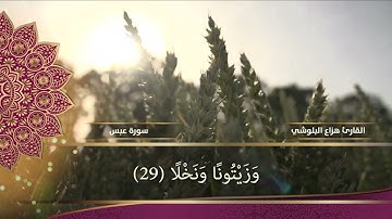 سورة ( عبس ) القارئ هزاع البلوشي
