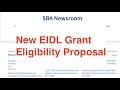 New EIDL Grant Eligibility Proposal | PPP Loan System Errors Preventing Approvals