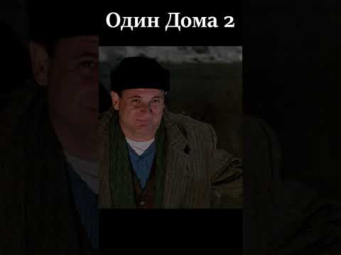 Один Дома 2 Кэвин кидает кирпичи в Гарри #shorts