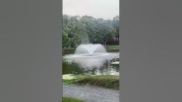 Thumbnail of Washington park ny