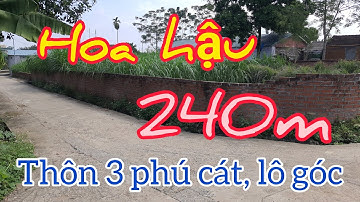 Bán đất xã phú cát quốc oai lô góc 240m