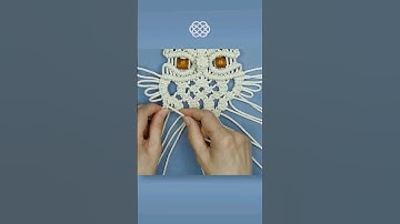 DIY Owl Plant Hanger #macrame