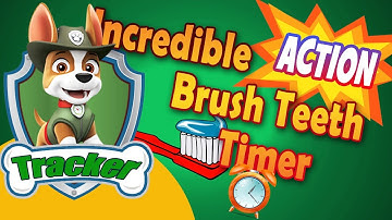 Incredible Action Toothbrushing Timer Paw Patrol Tracker with music