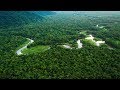 10 Datos Muy Interesantes Que Desconocías del Amazonas