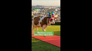 🎉 Abrimos o casting de Miss Vaca 2026 🥳 Envía as túas fotos a luar@crtvg.gal 💌 A que esperas?