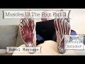 Foot Muscles Part II - PLUS A BONUS TECHNIQUE!