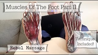 Foot Muscles Part II - PLUS A BONUS TECHNIQUE!