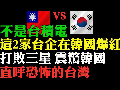 不是台積電 這2家台灣企業突然在韓國爆紅 台韓決戰3奈米 台積電打敗三星 震驚韓國 韓國人直呼恐怖的台灣 外國人看台灣 台企在韓國的行銷實手段在太厲害 台灣華碩 Forest App走紅國外