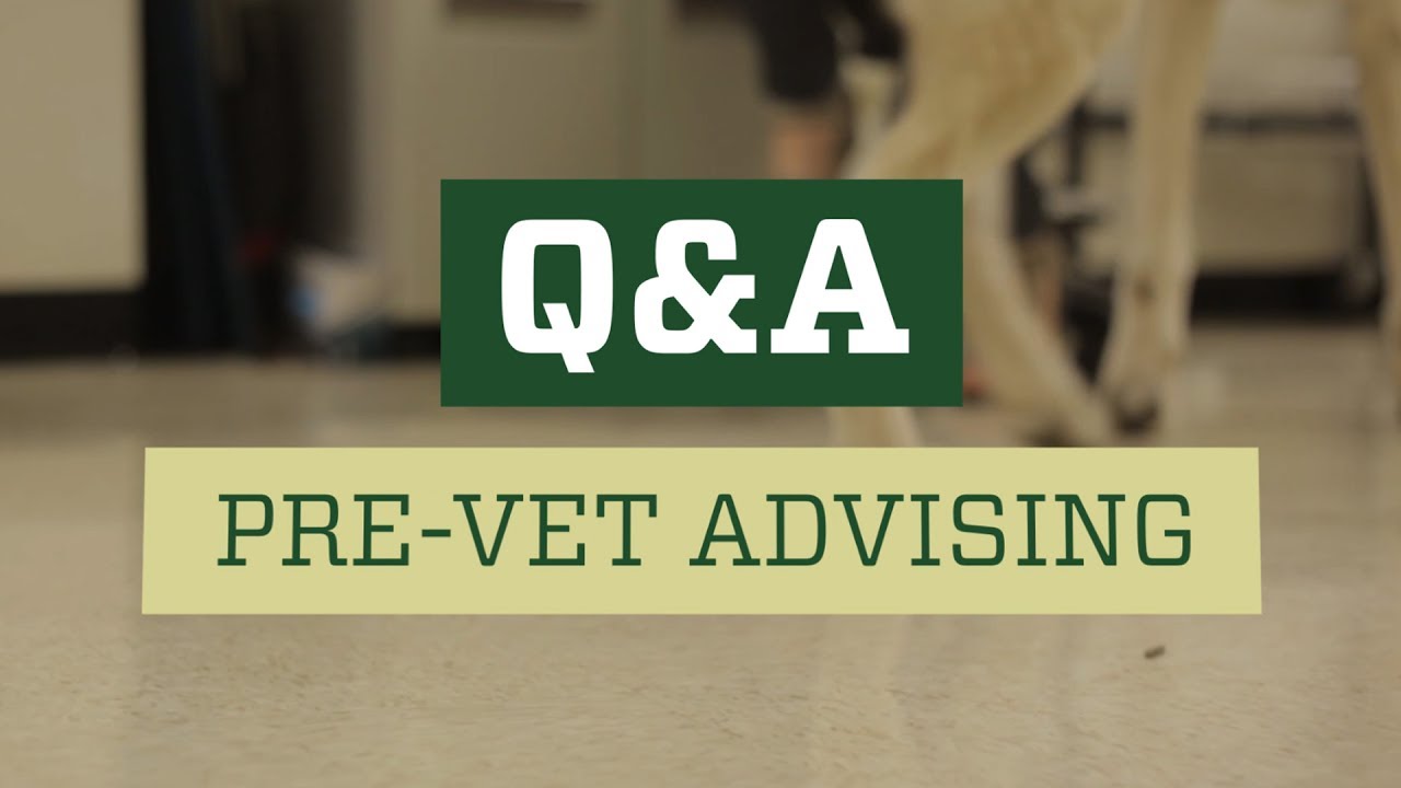 Let's talk pre-veterinary studies at CSU | Admissions | Colorado ...