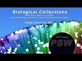 PSW 2376 Biological Collections | Reed Beaman