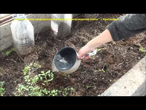 Видео: Вермикопостери за създаване на плодородна почва