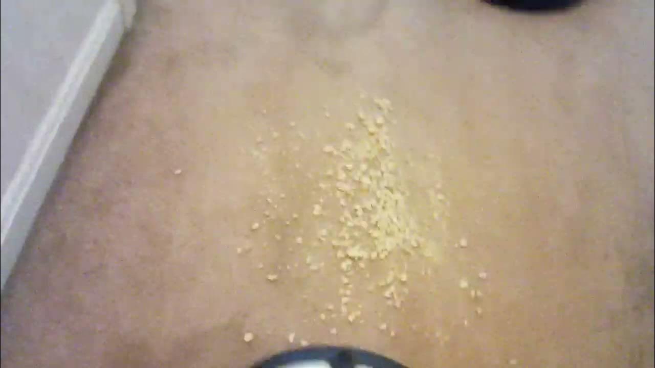 (200 sub special) Cracker crumb test, Hoover quest 700 vs shark ion