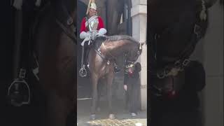 Download Lagu King’s Guard London🇬🇧🇬🇧🇬🇧 #trending #thewanderinglondoner #londonattractions #tourist #yt MP3