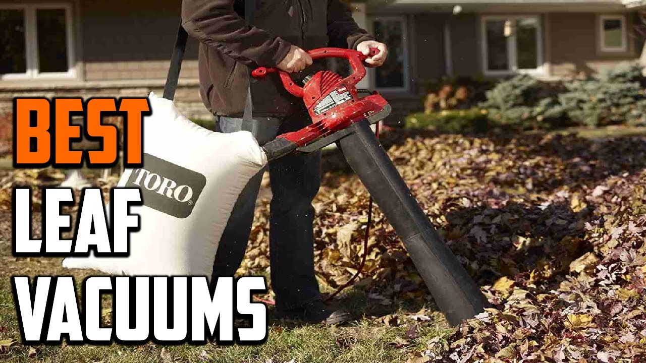 Best Leaf Blowers 2024: Cordless, Corded & Electric Vacuums - Which?