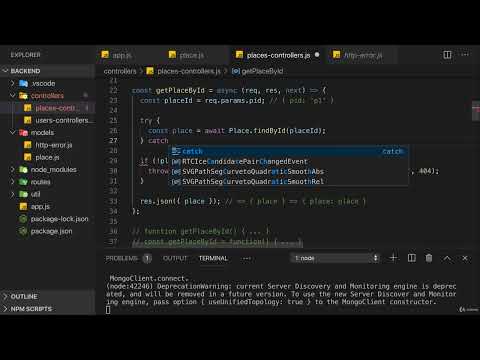 5. Getting Places by the PlaceID #placeid #mernstack #programmer #education #development
