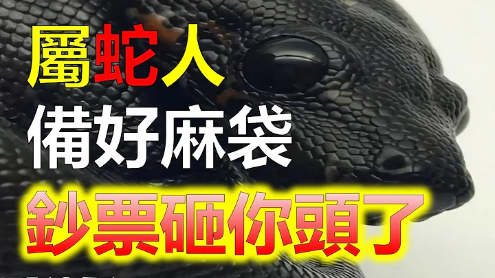 2024生肖運勢，十二生肖屬蛇人，12月吉星高照，事業運提升！事業好則意味著財運好，屬蛇人2024年開端喜迎五路財神進家門，備好麻袋請裝錢。屬蛇之人的善良，下個月開始屬蛇人貴人輔佐（生肖蛇） - 天天要聞
