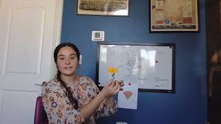 Upper Elementary Teaching Simulation Video