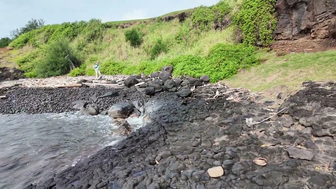 Kuki'i Bay and Lighthouse