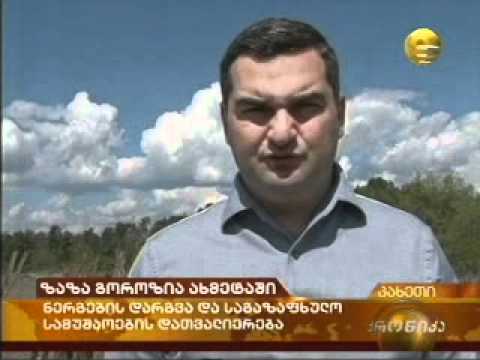 ზაზა გოროზია ახმეტაში