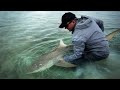 PRENDRE UN REQUIN LES PIEDS DANS L'EAU - Cyril Chauquet