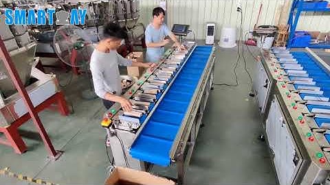 Smart Weigh-12 Head Linear Combination Weigher for Frozen Fish
