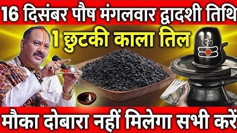16 दिसंबर पौष मंगलवार द्वादशी तिथि के दिन 1 छुटकी काला तिल वाला उपाय जरुर करे || Pradeep Ji Mishra 